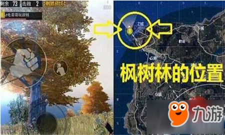 《和平精英》枫树林野餐彩刺激电脑版辅助蛋介绍攻略 枫树林野餐彩蛋是什么