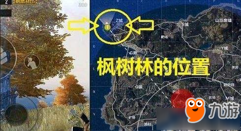 《绝地求生和平精英》野餐和平精英PC辅助聚点在什么地方 野餐聚点任务攻略